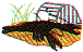 wl0356.gif
