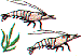 wl0360.gif