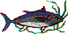 wl0365.gif