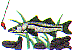wl0368.gif