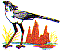 wl0378.gif
