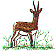 wl0385.gif