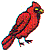 wl0424.gif