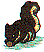 wl0455.gif
