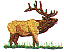 wl0461.gif