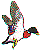 wl0467.gif