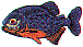 wl0492.gif