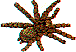 wl0494.gif